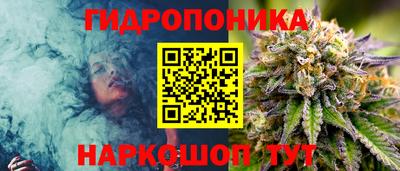 стафф Лесосибирск