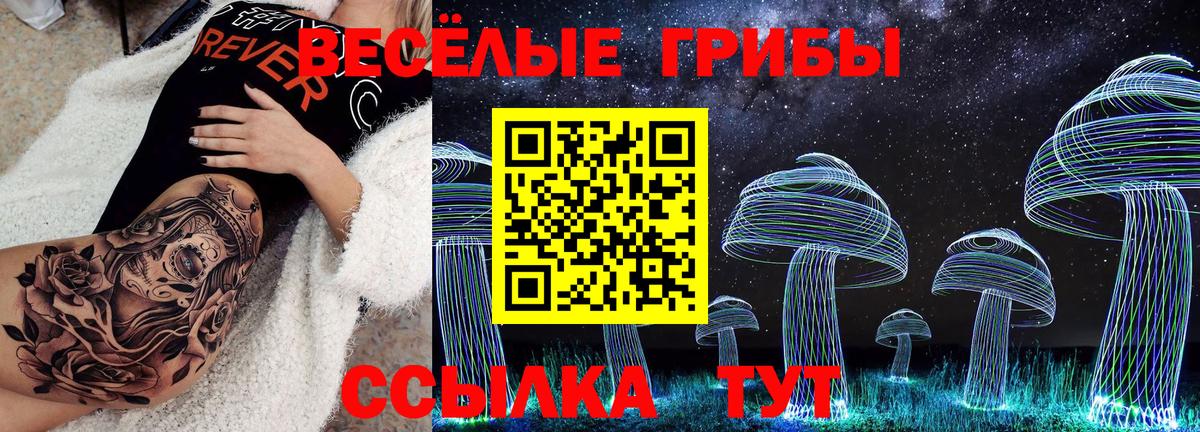 Псилоцибиновые грибы MAGIC MUSHROOMS Жуковский
