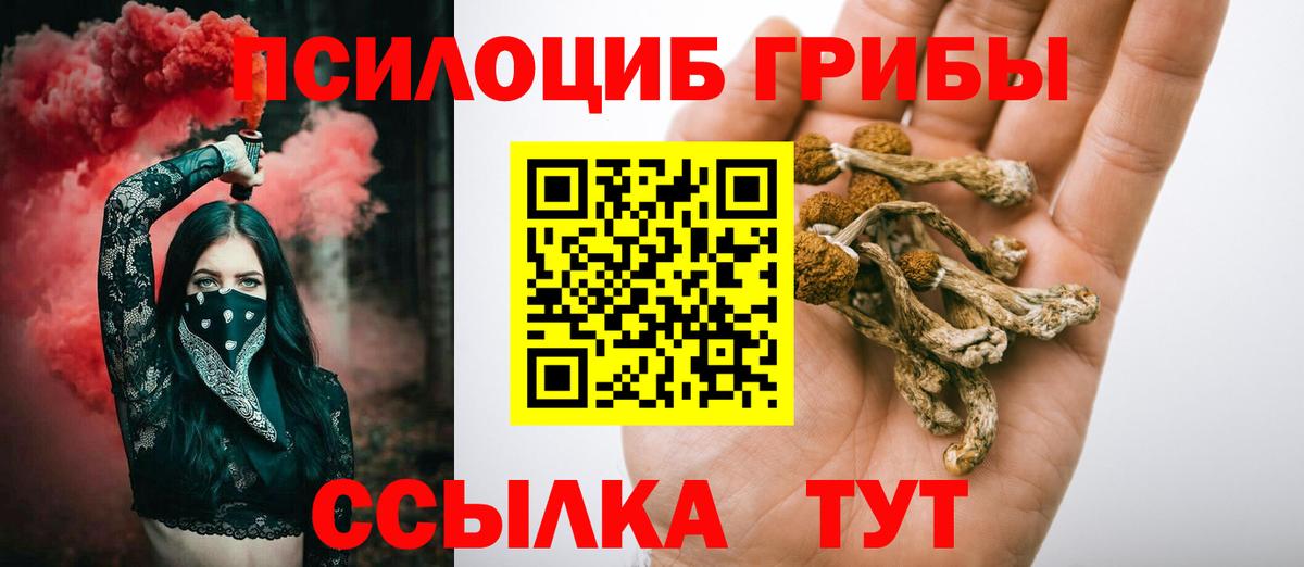 Псилоцибиновые грибы Psilocybe  Вход с VPN  Жуковский 